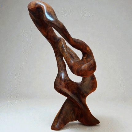 curved wooden sculpture